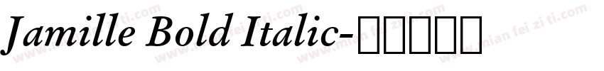 Jamille Bold Italic字体转换